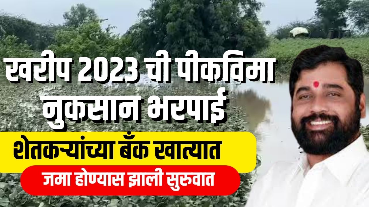 खरिप 2023 ची पिकविमा नुकसान भरपाई शेतकऱ्यांच्या बँक खात्यात जमा होण्यास सुरुवात