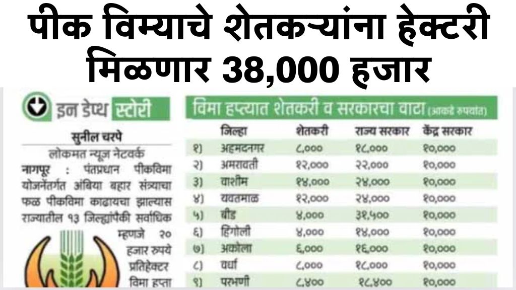 पीक विम्याचे शेतकऱ्यांना हेक्टरी मिळणार 38,000 हजार रुपये hectare of crop insurance