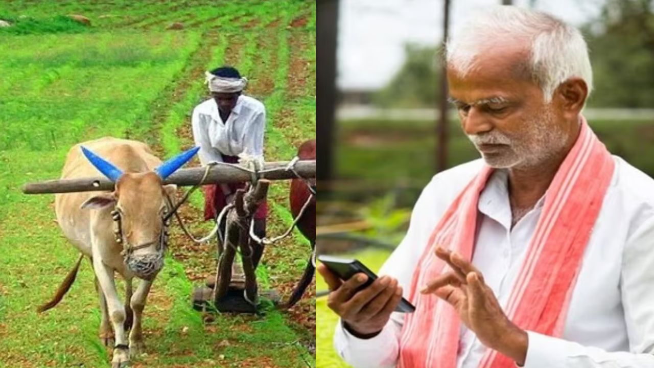 पीएम किसान ची फाइल डाऊनलोड करताच खात्यातून २ कोटी गायब PM Kisan Fraud